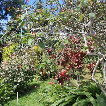 Gingerbread Cottage And Studio Fiji Savusavu Exterior photo