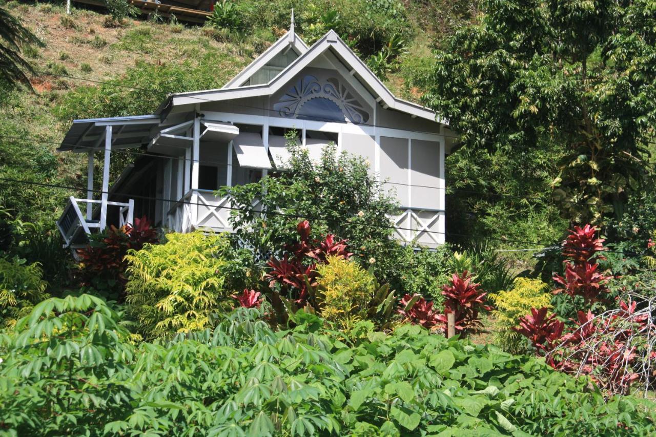 Gingerbread Cottage And Studio Fiji Savusavu Exterior photo