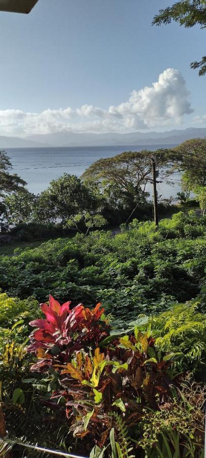 Gingerbread Cottage And Studio Fiji Savusavu Exterior photo