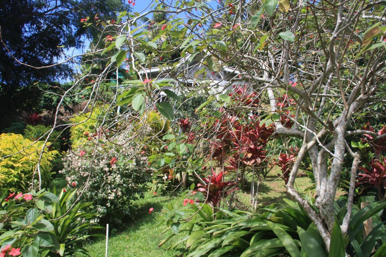 Gingerbread Cottage And Studio Fiji Savusavu Exterior photo